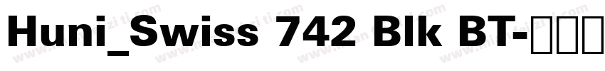 Huni_Swiss 742 Blk BT字体转换